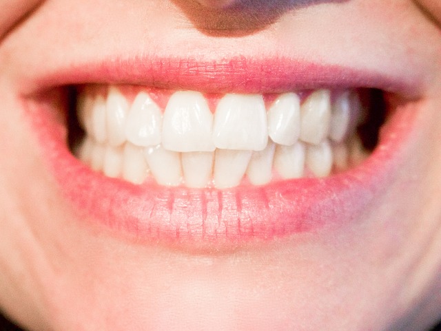Zahn Gene helfen Ausbildung zahlreicher Organe